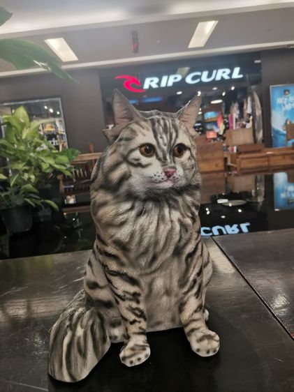  ตุ๊กตา​เรซิ่น​แมวนำโชค​และแมวเหมือน​จริง​ มีแบบอื่น​ๆอีกและรับทำตามแบบ​ที่​ต้อง​การ​ครับ รูปที่ 8