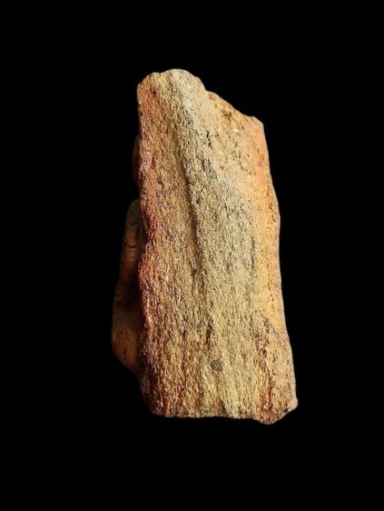 กรุวัดกระชาย. รูปที่ 16