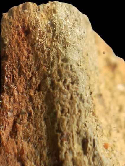 กรุวัดกระชาย. รูปที่ 18