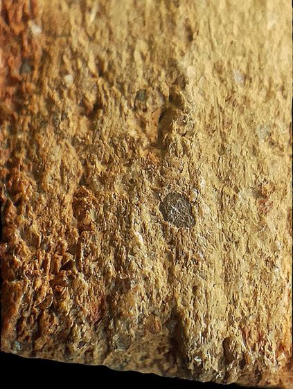 กรุวัดกระชาย. รูปที่ 17