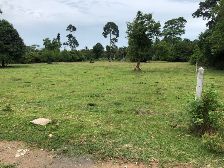 ที่ดินให้เช่าระยะยาว รูปที่ 2