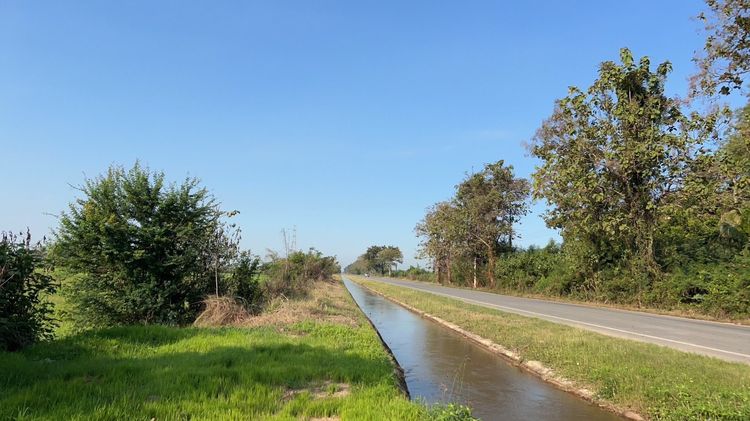 ที่ดิน ทำเลดี อำเภอพิชัย จังหวัดอุตรดิตถ์ เจ้าของขายเอง ติดต่อ 08 5911 4422 รูปที่ 3