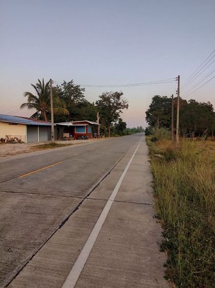 ไม่ใช่ ขายที่นาทำเลสวยมาก รูปที่ 3