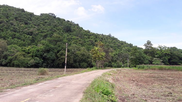 ขายที่ดิน 11.ไร่ 1 งาน 30 ตร.วา หลังติดเขา หน้าติดถนนคอนกรีต รูปที่ 2