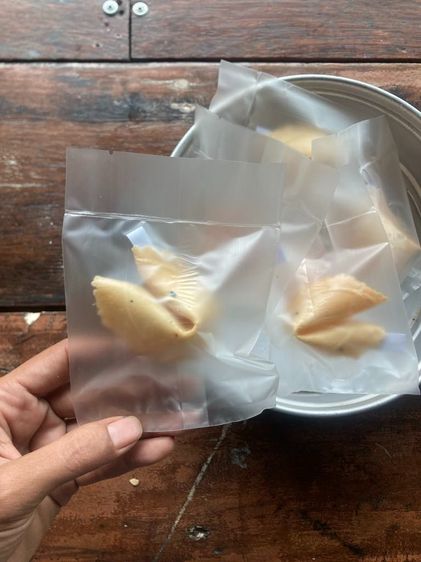 รับออร์เดอร์ โฮมเมด ฟอร์จูน คุ๊กกี้ รสชาติ ต้นตำรับ ( Homemade Fortune Cookie)🥠 🔮  รูปที่ 14