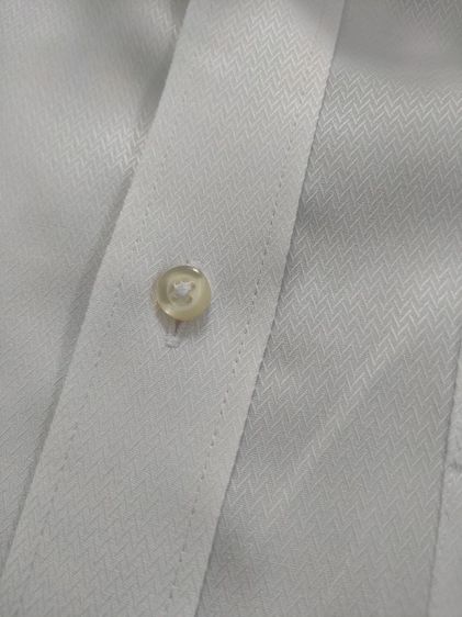 Luis ant รูปที่ 5