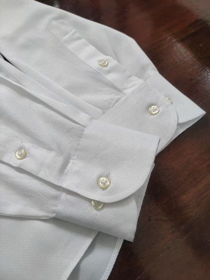 Luis ant รูปที่ 6