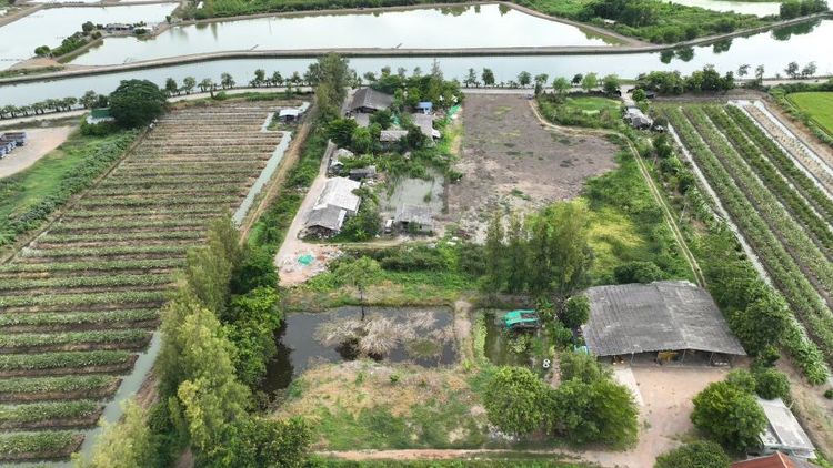 ใช่ ขายที่ดินทำเลตัวเมืองสวยๆ (เจ้าของขายเอง) รูปที่ 3