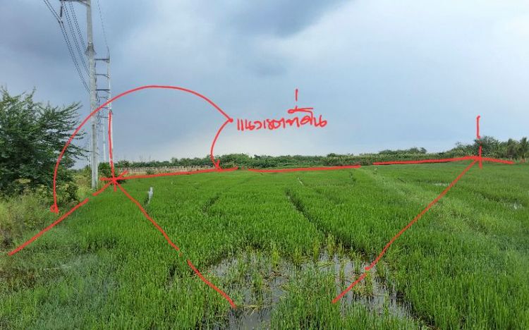ที่ดิน ทำเลเพื่อการพักอาศัย รูปที่ 2
