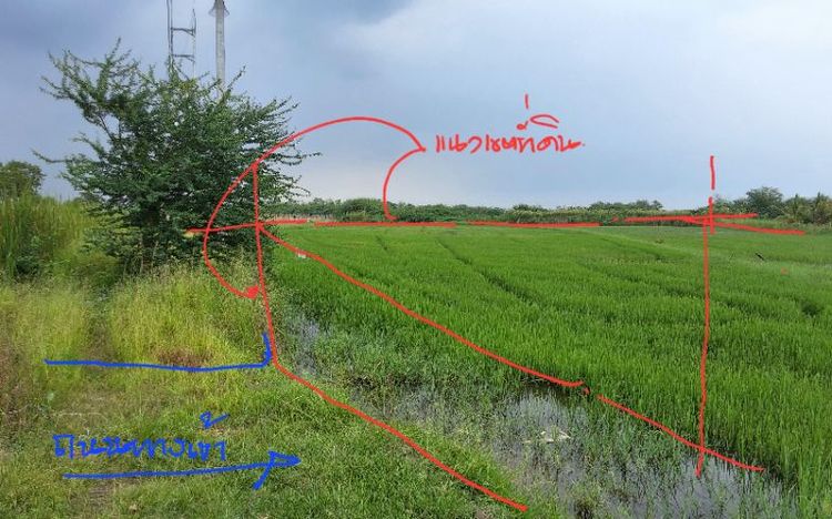 ที่ดิน ทำเลเพื่อการพักอาศัย รูปที่ 3