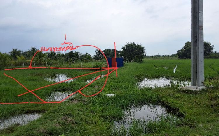 ที่ดิน ทำเลเพื่อการพักอาศัย