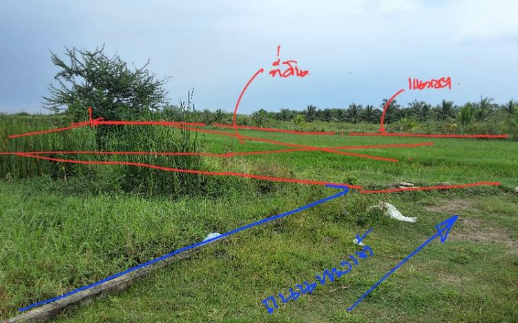 ที่ดิน ทำเลเพื่อการพักอาศัย รูปที่ 4