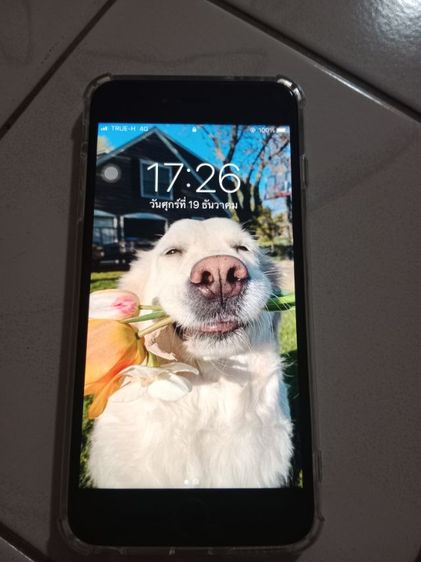 iPhone6s Plue รูปที่ 2
