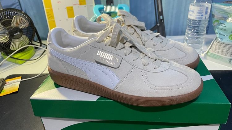 Puma palermo รูปที่ 2