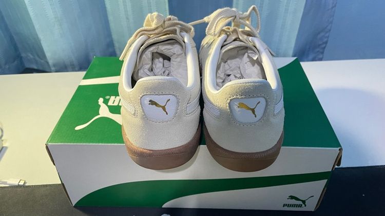 Puma palermo รูปที่ 3