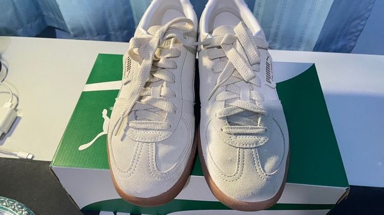 Puma palermo รูปที่ 4