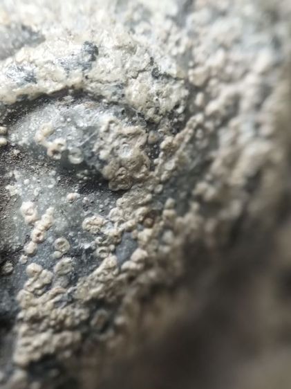 พระเชียงแสนเนื้อตะกั่วสนิมแดงครับ รูปที่ 12