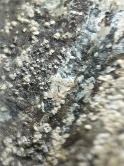 พระเชียงแสนเนื้อตะกั่วสนิมแดงครับ รูปที่ 16