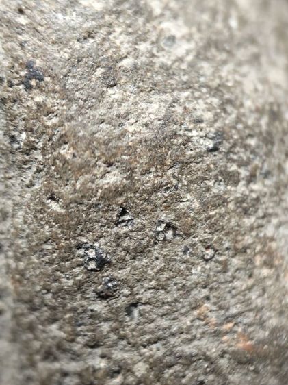 พระป๋วยลำพูนเนื้อเขียวครับ รูปที่ 16