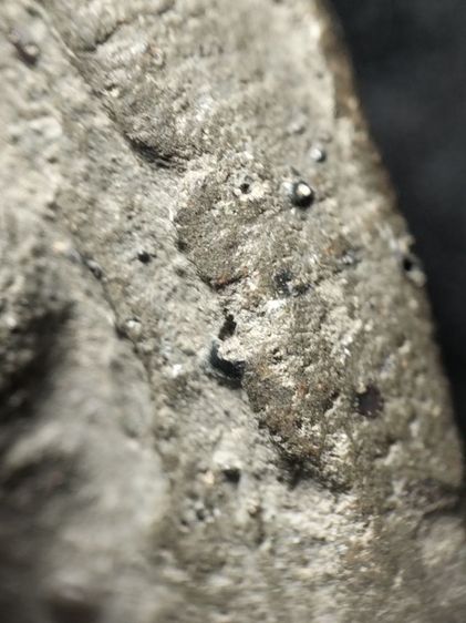 พระป๋วยลำพูนเนื้อเขียวครับ รูปที่ 11