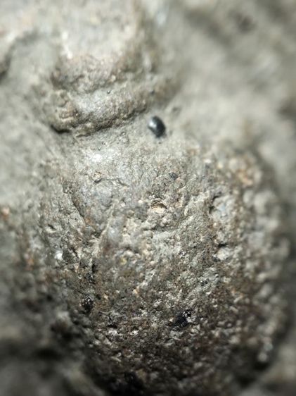 พระป๋วยลำพูนเนื้อเขียวครับ รูปที่ 2