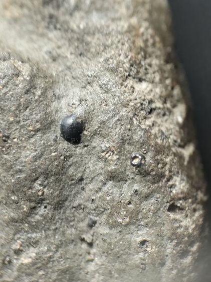 พระป๋วยลำพูนเนื้อเขียวครับ รูปที่ 8