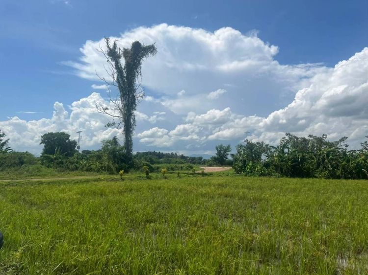  ขายที่ดินใกล้สถานีรถไฟรางคู่ สถานีเชียงราย