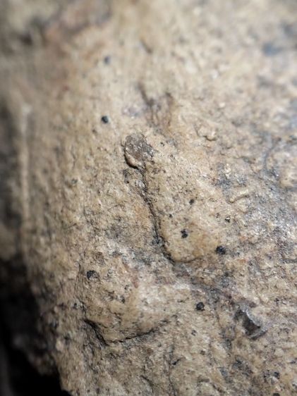 ❌ปิดครับ❌พระคงลำพูนเนื้อดินครับ รูปที่ 16