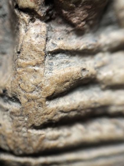 ❌ปิดครับ❌พระคงลำพูนเนื้อดินครับ รูปที่ 7