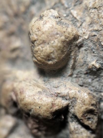 ❌ปิดครับ❌พระคงลำพูนเนื้อดินครับ รูปที่ 3