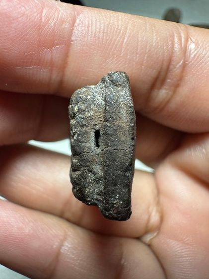 พระหลวงปู่ทวดปี97 ค่ะ รูปที่ 5