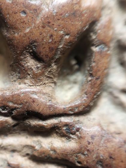 ❌ปิดครับ❌พระกำแพงซุ้มกอครับ รูปที่ 8