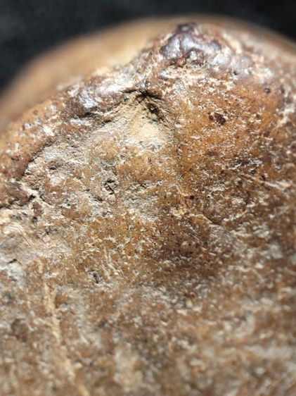 ❌ปิดครับ❌พระกำแพงซุ้มกอครับ รูปที่ 7