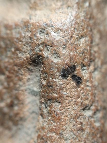 พระนางพญาเนื้อดินครับ รูปที่ 12