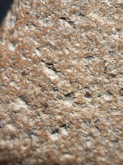 พระนางพญาเนื้อดินครับ รูปที่ 18