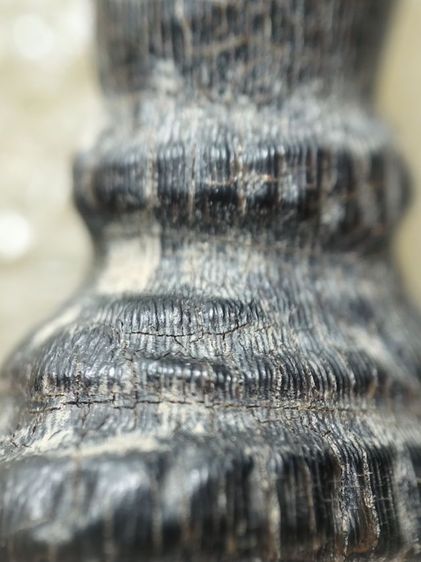 พระพิฆเณศสวยเก่าสภาพหิ้งเลยครับ รูปที่ 15