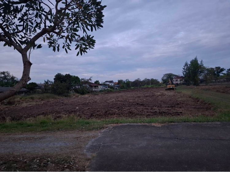 ขายที่ดิน 4 ไร่ บางคล้า ฉะเชิงเทรา เจ้าของขายเอง รูปที่ 3