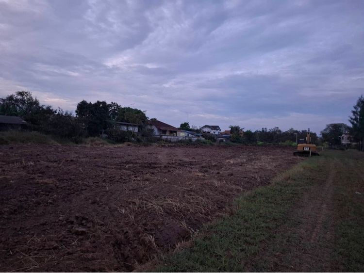 ขายที่ดิน 4 ไร่ บางคล้า  ฉะเชิงเทรา  เจ้าของขายเอง