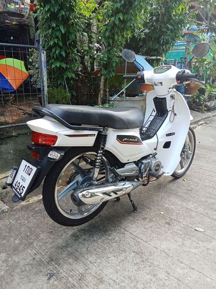 solar crown 125 ปี 2024 รูปที่ 8