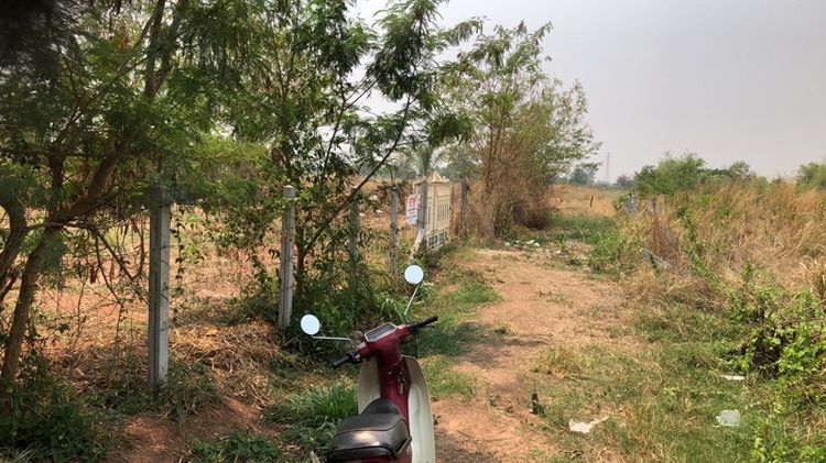 ขายที่ดินเปล่าเนื้อที่1งาน73ตารางวาเศษ รูปที่ 3