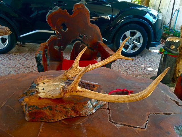 แท้เก่าโบราณสภาพเยี่ยม รูปที่ 7