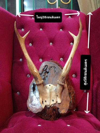 แท้เก่าโบราณสภาพเยี่ยม รูปที่ 2