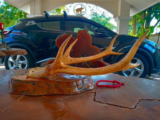 แท้เก่าโบราณสภาพเยี่ยม รูปที่ 5