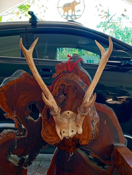 แท้เก่าโบราณสภาพเยี่ยม รูปที่ 12