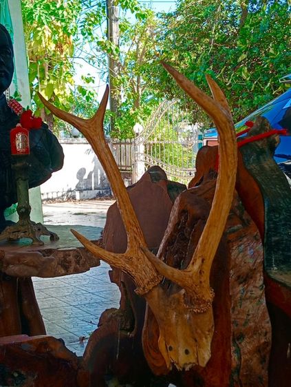 แท้เก่าโบราณสภาพเยี่ยม รูปที่ 8