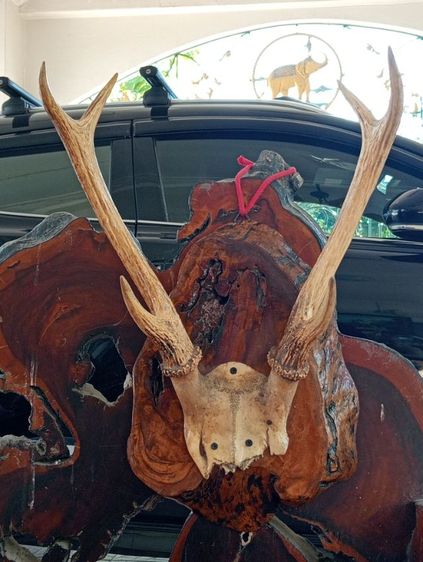 แท้เก่าโบราณสภาพเยี่ยม