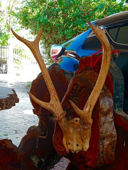 แท้เก่าโบราณสภาพเยี่ยม รูปที่ 4