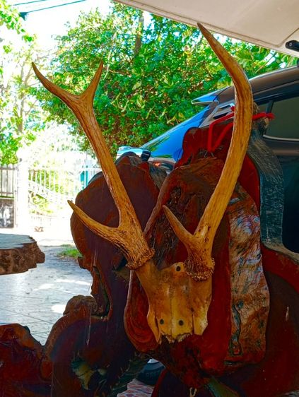 แท้เก่าโบราณสภาพเยี่ยม รูปที่ 15