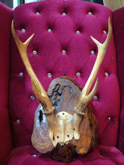 แท้เก่าโบราณสภาพเยี่ยม รูปที่ 16