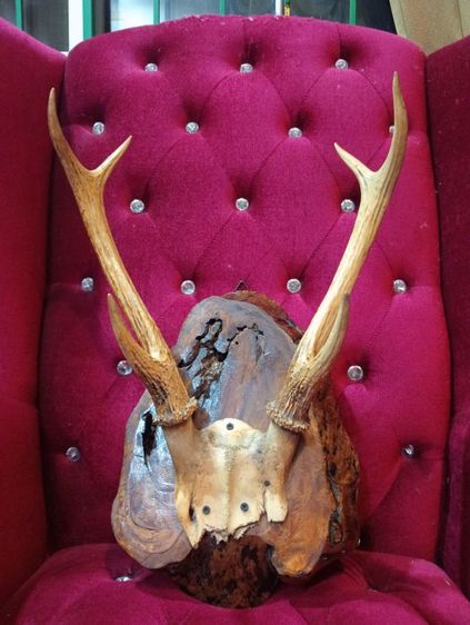 แท้เก่าโบราณสภาพเยี่ยม รูปที่ 11